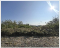  2024Ÿ��59914  �������