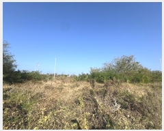  2024Ÿ��59914  �������