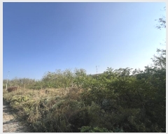  2024Ÿ��59914  �������