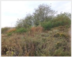  2024Ÿ��59914  �������