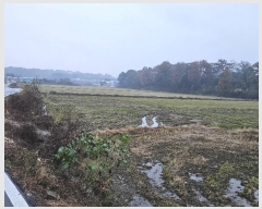  2024Ÿ59976 泲   긮 237-6      ()