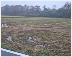  2024Ÿ59976 泲   긮 237-6      ()