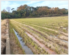  2024Ÿ59976 泲   긮 237-6      ()