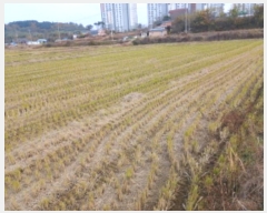  2024Ÿ59976 泲   긮 237-6      ()