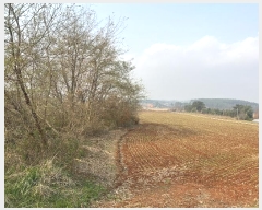  2024Ÿ��60655  �Ӿ߰��