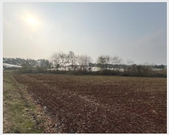  2024Ÿ��60655  �Ӿ߰��