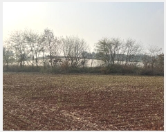  2024Ÿ��60655  �Ӿ߰��