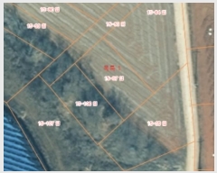  2024Ÿ��60655  �Ӿ߰��