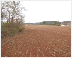  2024Ÿ��60655  �Ӿ߰��