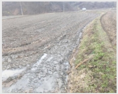  2024Ÿ��60730  �����