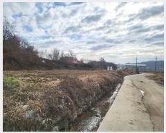  2024Ÿ61160 泲  õ  87      ()