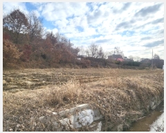  2024Ÿ61160 泲  õ  87      ()