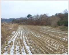  2024Ÿ61160 泲  õ  87      ()