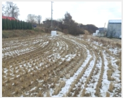  2024Ÿ61160 泲  õ  87      ()