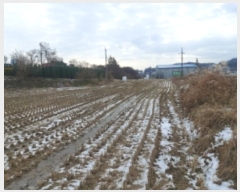  2024Ÿ61160 泲  õ  87      ()