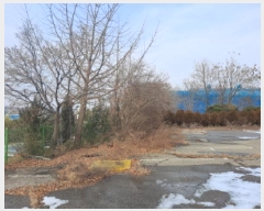  2024Ÿ��61207  ������