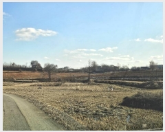  2024Ÿ��61214  ����