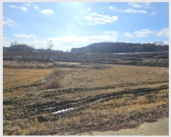  2024Ÿ��61214  ����