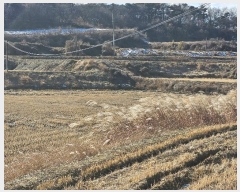  2024Ÿ��61214  ����