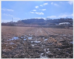  2024Ÿ��61214  ����