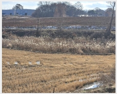  2024Ÿ��61214  ����