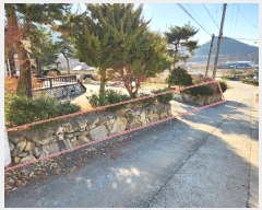  2024Ÿ61603 泲  ع̸ Ȳ2 73-12      ð