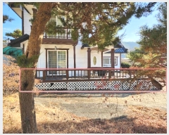  2024Ÿ61603 泲  ع̸ Ȳ2 73-12      ð