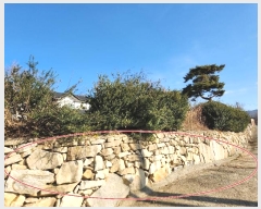  2024Ÿ61603 泲  ع̸ Ȳ2 73-12      ð