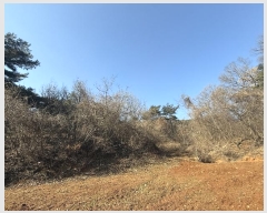  2024Ÿ62156 泲  ۾ 踮 146-21      (Ӿ)