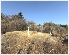  2024Ÿ62156 泲  ۾ 踮 146-21      (Ӿ)