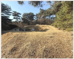  2024Ÿ62156 泲  ۾ 踮 146-21      (Ӿ)