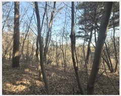  2024Ÿ62156 泲  ۾ 踮 146-21      (Ӿ)