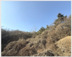  2024Ÿ62156 泲  ۾ 踮 146-21      (Ӿ)