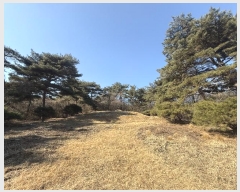  2024Ÿ62156 泲  ۾ 踮 146-21      (Ӿ)