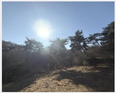  2024Ÿ62156 泲  ۾ 踮 146-21      (Ӿ)