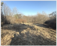  2024Ÿ62156 泲  ۾ 踮 146-21      (Ӿ)