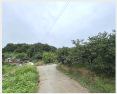  2024Ÿ2390 泲  ۾ ݰ 305-9      (Ӿ)