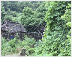  2024Ÿ2390 泲  ۾ ݰ 305-9      (Ӿ)