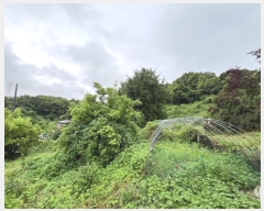  2024Ÿ2390 泲  ۾ ݰ 305-9      (Ӿ)