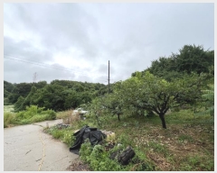  2024Ÿ2390 泲  ۾ ݰ 305-9      (Ӿ)