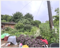  2024Ÿ2390 泲  ۾ ݰ 305-9      (Ӿ)