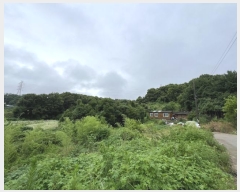  2024Ÿ2390 泲  ۾ ݰ 305-9      (Ӿ)