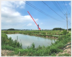  2024Ÿ2857 泲   ׸ 19-41      ()