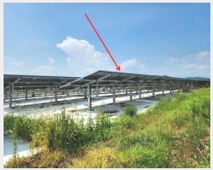  2024Ÿ2857 泲   ׸ 19-41      ()