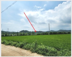  2024Ÿ2857 泲   ׸ 19-41      ()