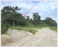  2024Ÿ��2901 �泲 ����� �׼��� 1-6       ����(������)���