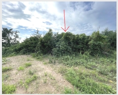  2024Ÿ��2901 �泲 �¾ȱ� �ҿ��� �ĵ��� 543-609      ����(�Ӿ�)���