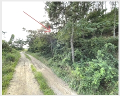  2024Ÿ��2901 �泲 �¾ȱ� �ҿ��� �ĵ��� 543-609      ����(�Ӿ�)���