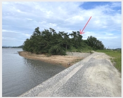  2024Ÿ��2901 �泲 �¾ȱ� �ҿ��� �ĵ��� 543-609      ����(�Ӿ�)���