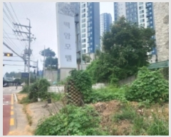  2024Ÿ��3355 �泲 ������ ä� 151-22       ���ڽü�,����,ȣ��,�������